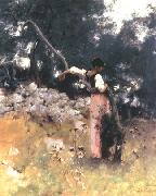 John Singer Sargent Portrait of Rosina oil painting on canvas
